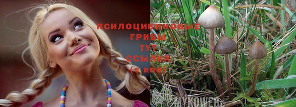 кокаин Арсеньев