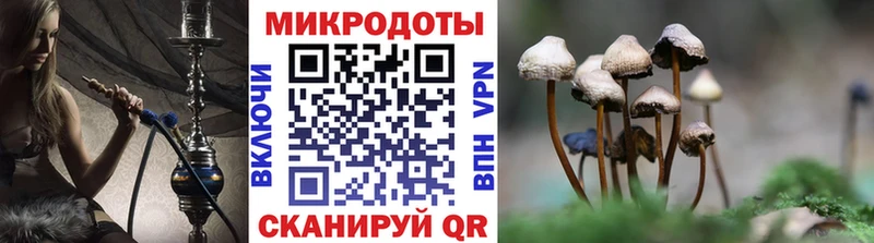 наркотики  Сенгилей  Псилоцибиновые грибы MAGIC MUSHROOMS 