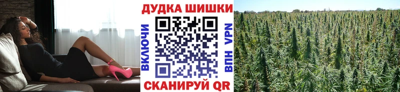 Шишки марихуана конопля  Сенгилей 